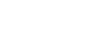 ERP Software Berater Logo ERP Scout weiß