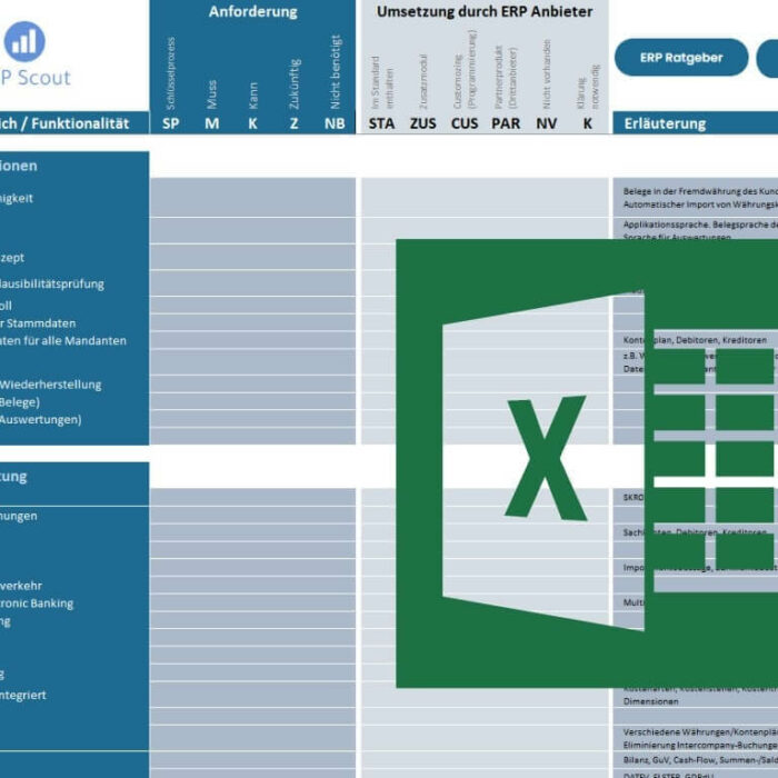 ERP Lastenheft Vorlage Microsoft Excel